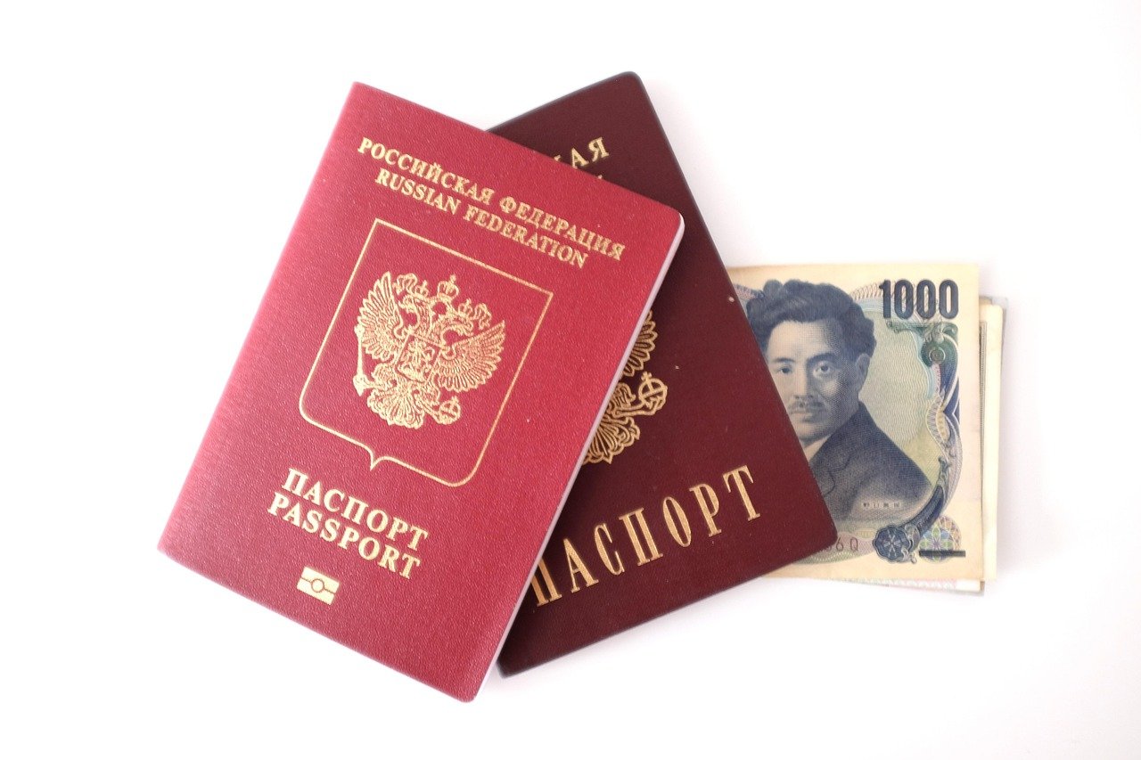passport, russia, money, immigration, countries, symbol, log, domestic, symbolic, fingermark, travels, id, citizenship, sovereign, identification, personality, personal, pride, the russian federation, passport, passport, immigration, immigration, immigration, immigration, immigration, citizenship, citizenship