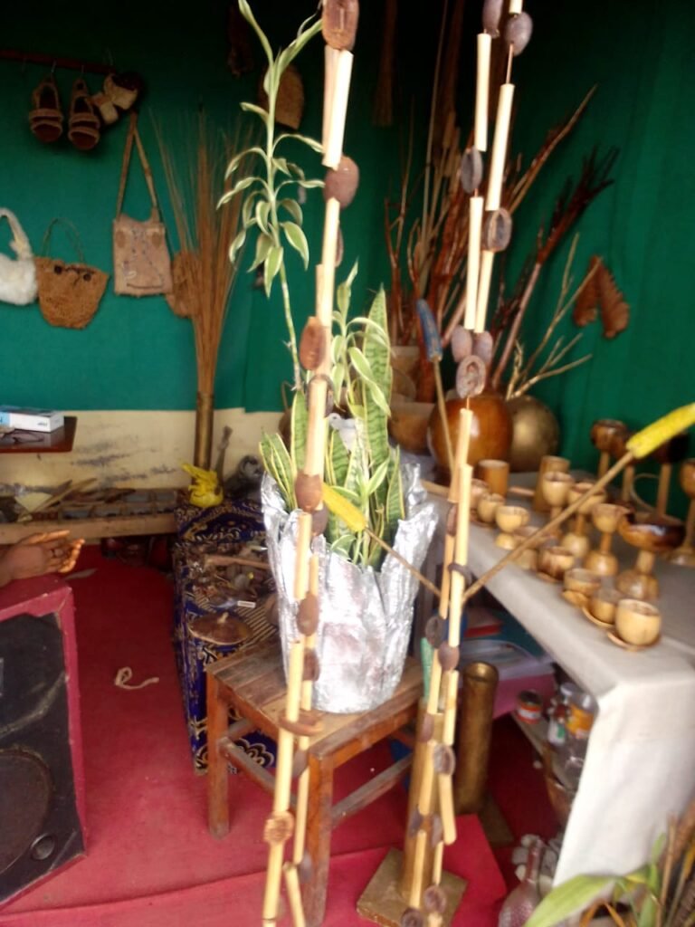 WhatsApp Image 2026-01-08 at 14.08.51