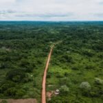 Explore the vibrant greenery and remote dirt roads of Cameroon's tropical forest from above.