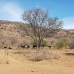 Capture d’écran 2026-04-01 002453