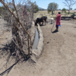 Capture d'écran 2026-04-01 002633