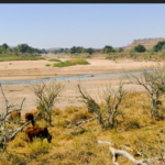 Capture d'écran 2026-04-01 002746