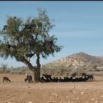 Capture d’écran_1-4-2026_02841_www.bing.com