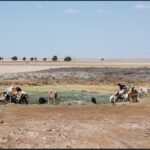 Capture d’écran_1-4-2026_02928_www.bing.com