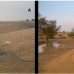 Capture d’écran_1-4-2026_03023_www.bing.com