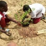 Capture d’écran_31-3-2026_232955_www.bing.com