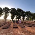 Capture d’écran_31-3-2026_233125_www.bing.com