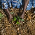 Capture d’écran_31-3-2026_23337_www.bing.com