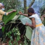 Capture d’écran_31-3-2026_23340_www.bing.com